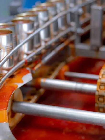 Αγροδιατροφή – Πρωτογενής Παραγωγή